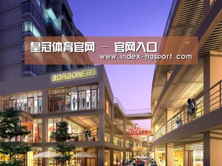 案例展示一(图1)