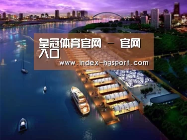 案例展示八