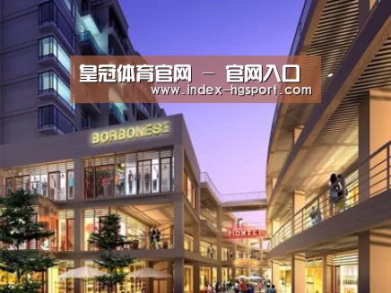 案例展示一