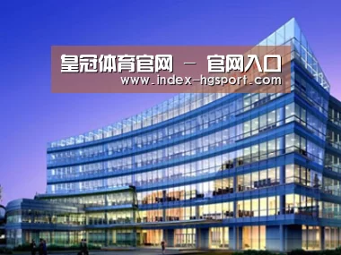 案例展示五