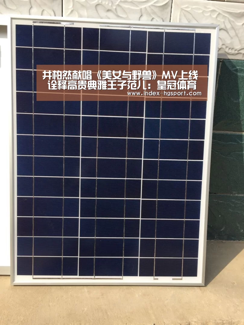 皇冠入口