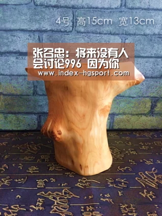 张召忠:将来没有人会讨论996 因为你直接没工作了:皇冠入口(图1) 皇冠体育app