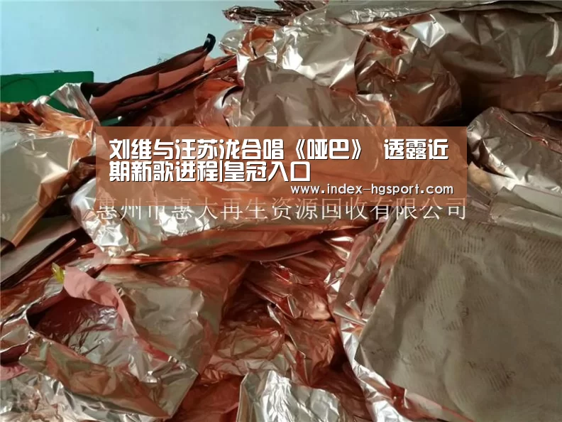 刘维与汪苏泷合唱《哑巴》 透露近期新歌进程|皇冠入口(图2) 皇冠体育app