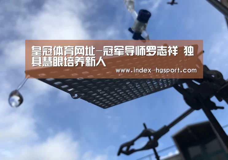 皇冠入口