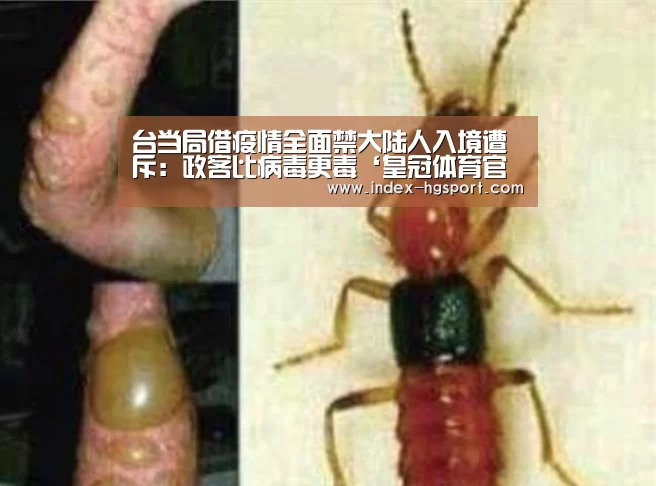 皇冠体育网址
