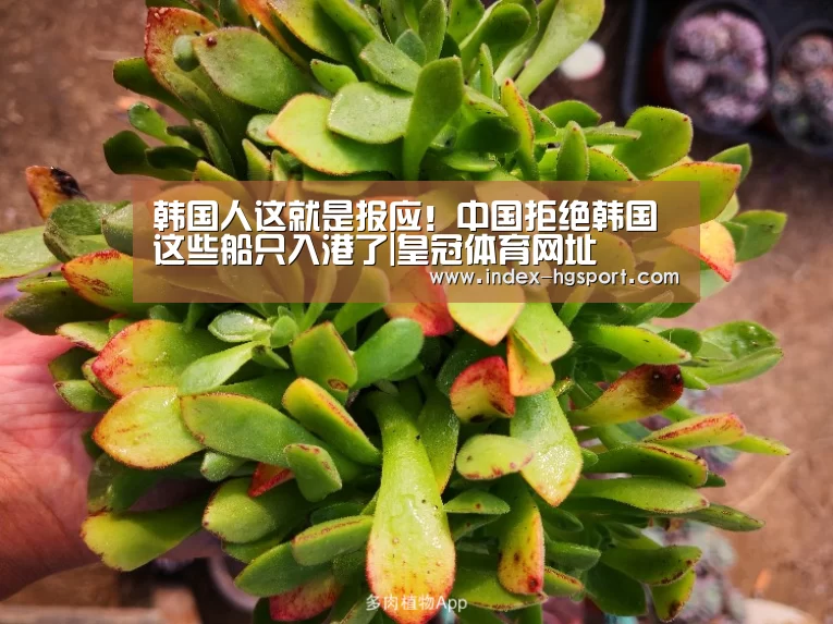 皇冠体育app